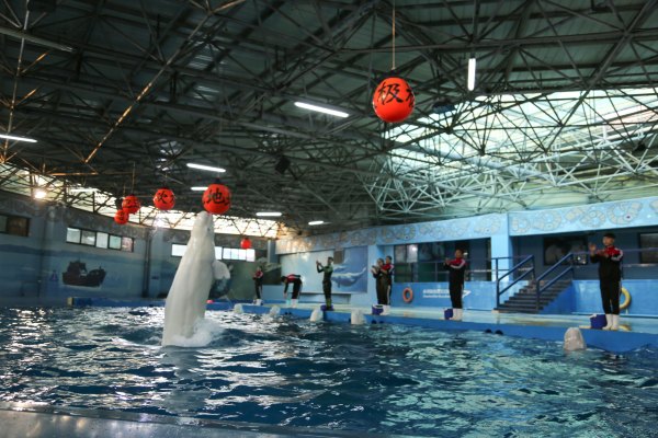 杭州极地海洋公园占地面积,杭州极地海洋公园什么时候建成