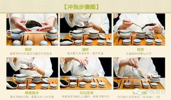 凤凰单枞茶喝出来的健康,凤凰单枞茶的合理饮法