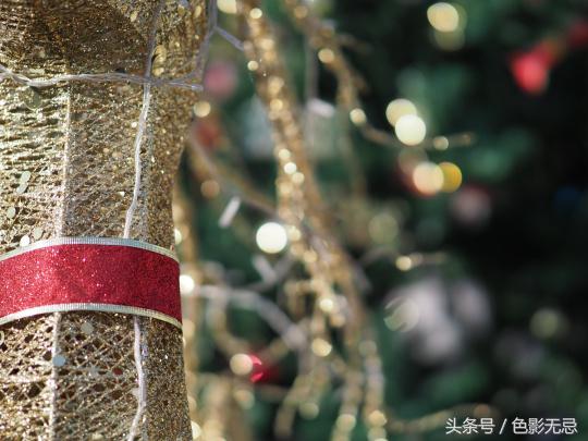 濂ユ灄宸存柉45mmf1.2pro娴嬭瘎,濂ユ灄宸存柉25mmf1.2pro璇勬祴