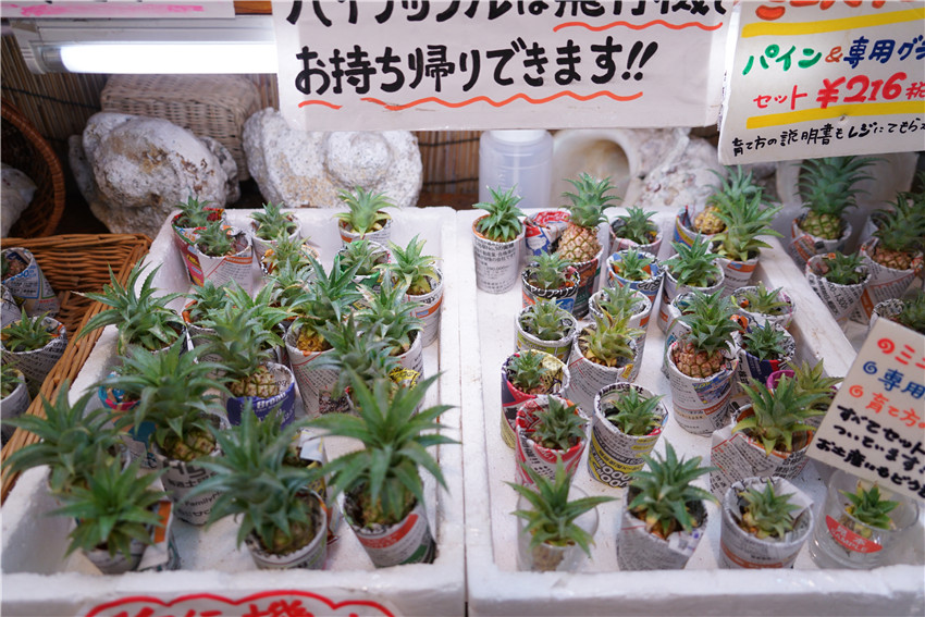 冲绳那霸自由行全攻略,日本冲绳那霸旅游购物