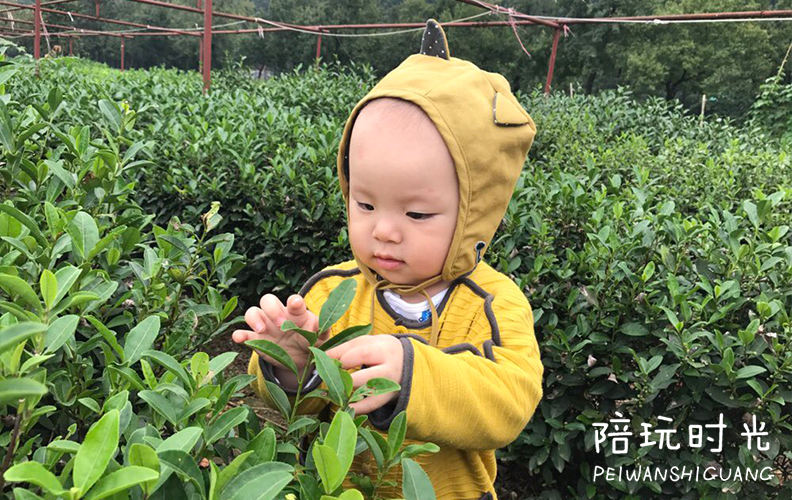 杭州带着孩子去哪玩比较合适,杭州带小孩子去玩的地方推荐