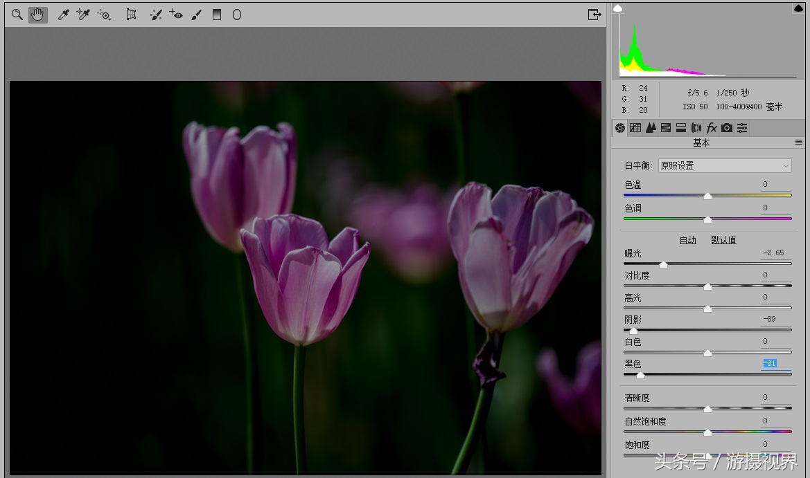 cameraraw直方图教程,cameraraw如何导出最优画质jpg
