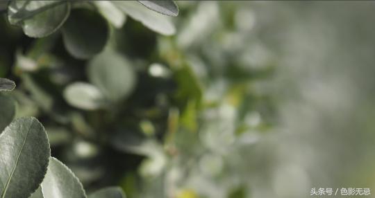 濂ユ灄宸存柉45mmf1.2pro娴嬭瘎,濂ユ灄宸存柉25mmf1.2pro璇勬祴