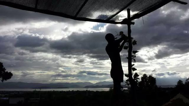 因为爱情,让旅途中的他们留在了大理