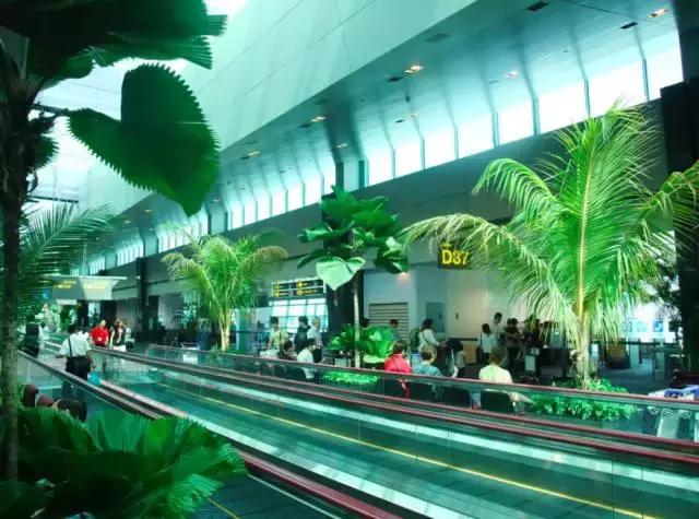 机场免税店什么东西最值得买,机场免税店的东西便宜吗