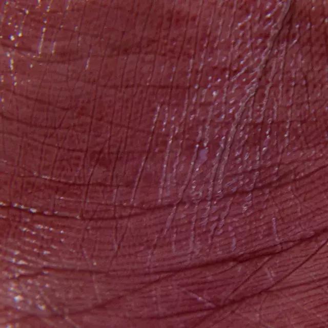 最好看的唇色排行 (最经典的唇色)