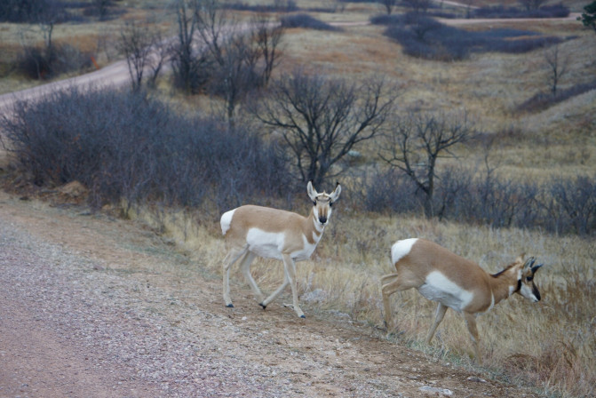 科罗拉多州到洛杉矶,科罗拉多州五月自驾