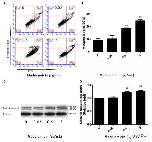「云项目文章」关于抗生素心肌中毒，你可能不知道的那些事儿