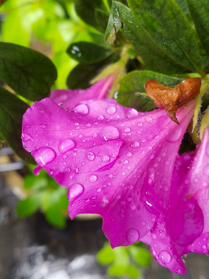 如何评价vivoxplay5,2020年vivoxplay5值不值得入手