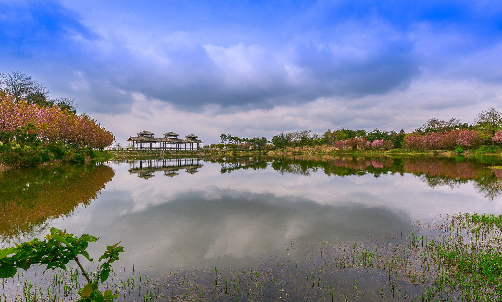 四明山地质公园和四明山森林公园,观四明山云海仙境有感