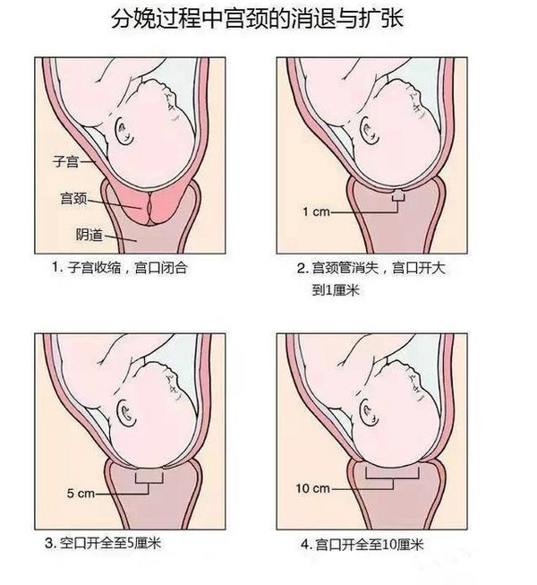 分娩开十指真有那么宽吗,自然分娩时开十指有多大