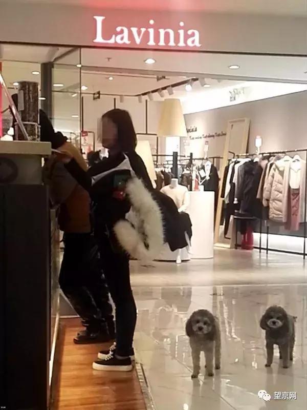 简直了！在望京这样遛狗，你还有理了？