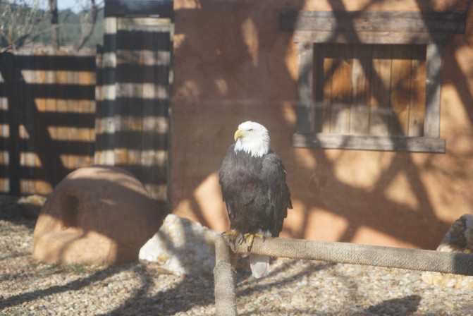 科罗拉多州到洛杉矶,科罗拉多州五月自驾
