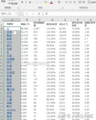 淘宝店群精细化详细教程,店群模式的精细化操作