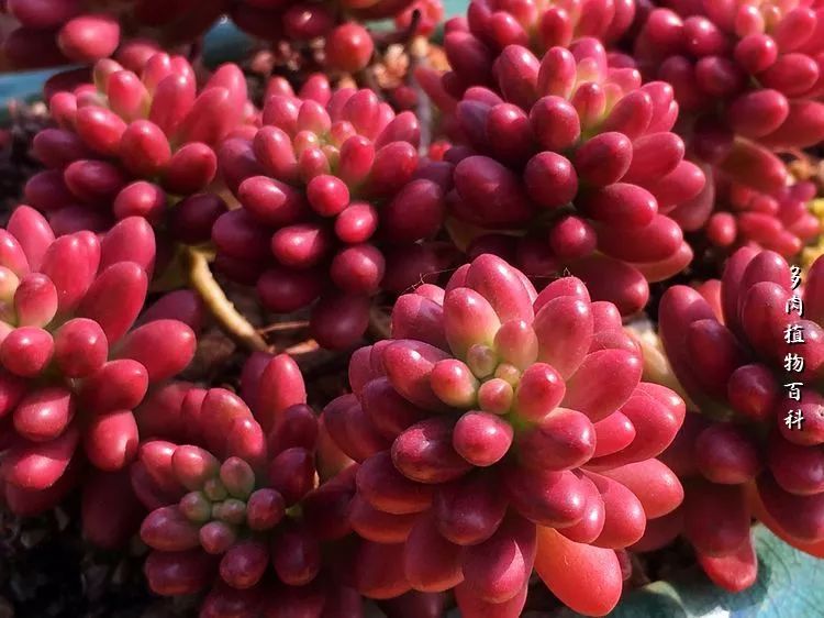 视觉盛宴美不胜收美图,视觉盛宴每个画面都美极了