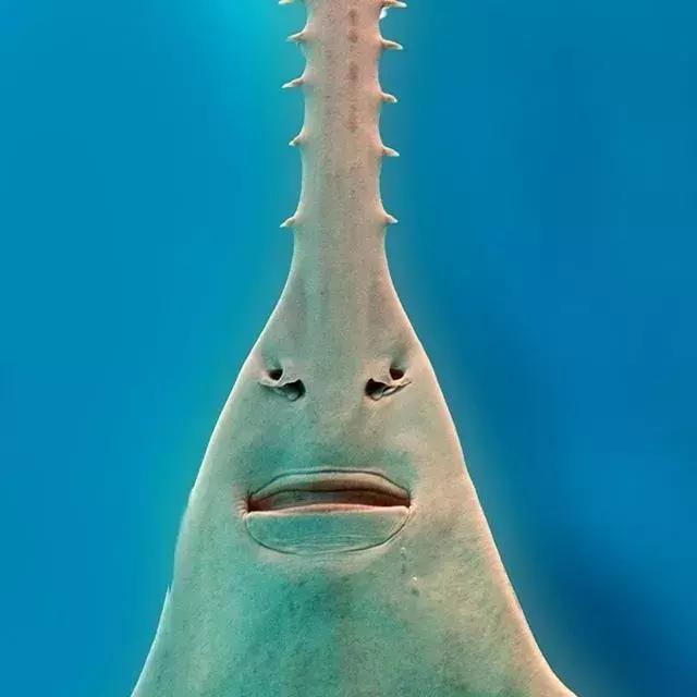 迪拜上天下海冲沙攻略,迪拜沙漠冲沙一日游