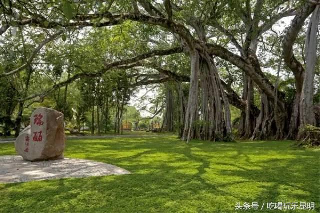 这两天德宏拽伤了，和全世界对话都是：我20度！