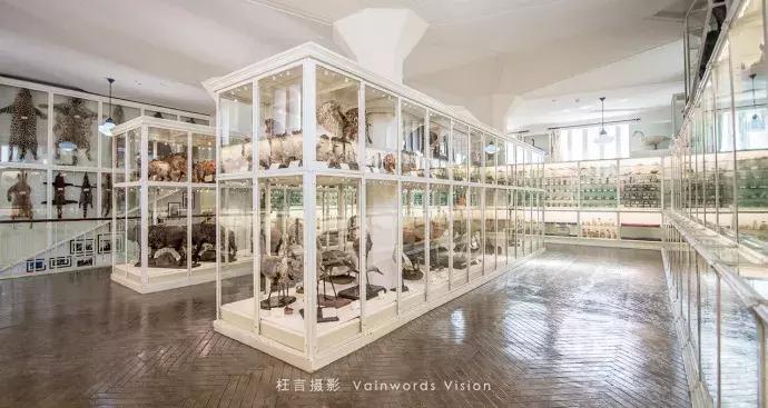 天津一日游必去的十个景点介绍,天津旅游必去十大景点1日游攻略