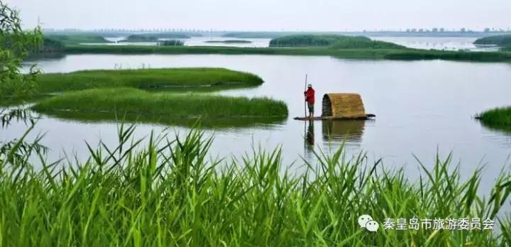 我大河北的历史名酒，你吃过几盅？秦皇岛竟然有……