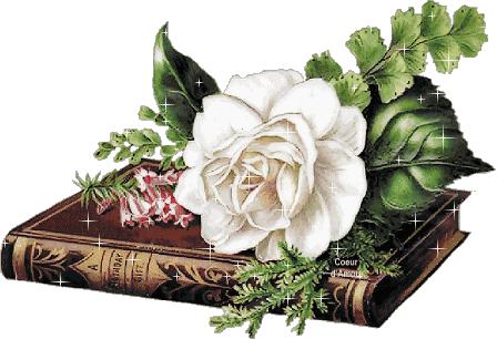 咖啡师对比,咖啡师vs茶饮师