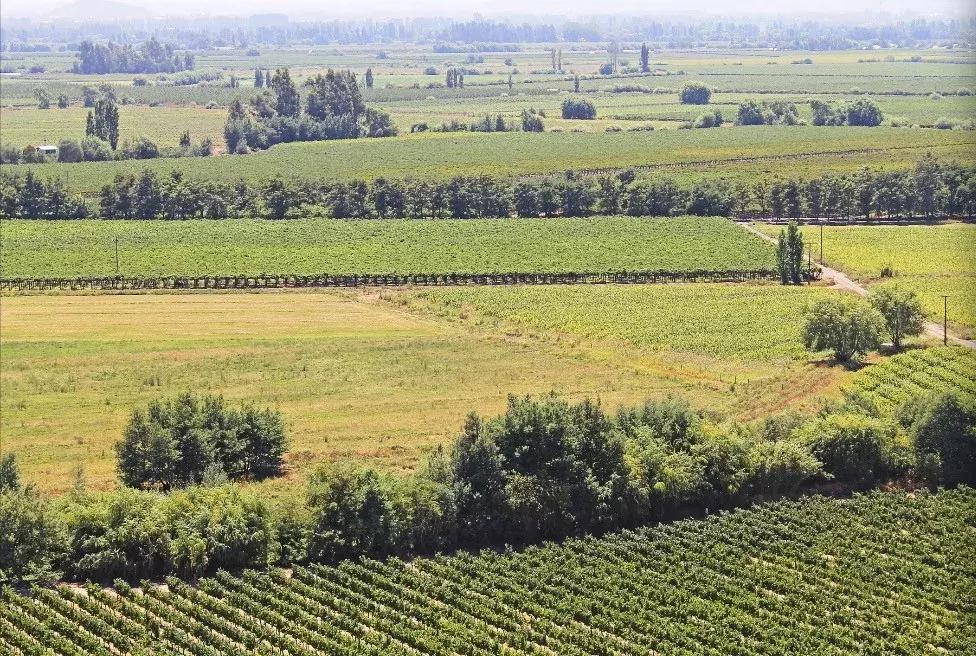 新手怎么挑适合自己的红酒,怎样挑选一瓶好的红酒视频教学