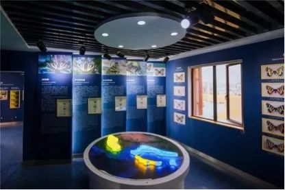 亲子推荐│蝶梦山丘—让蝶入梦、与蝶共舞