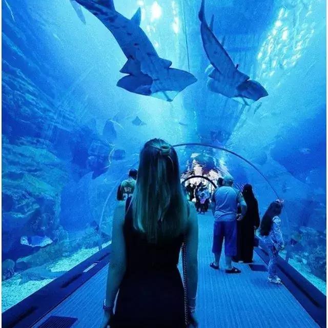 迪拜上天下海冲沙攻略,迪拜沙漠冲沙一日游