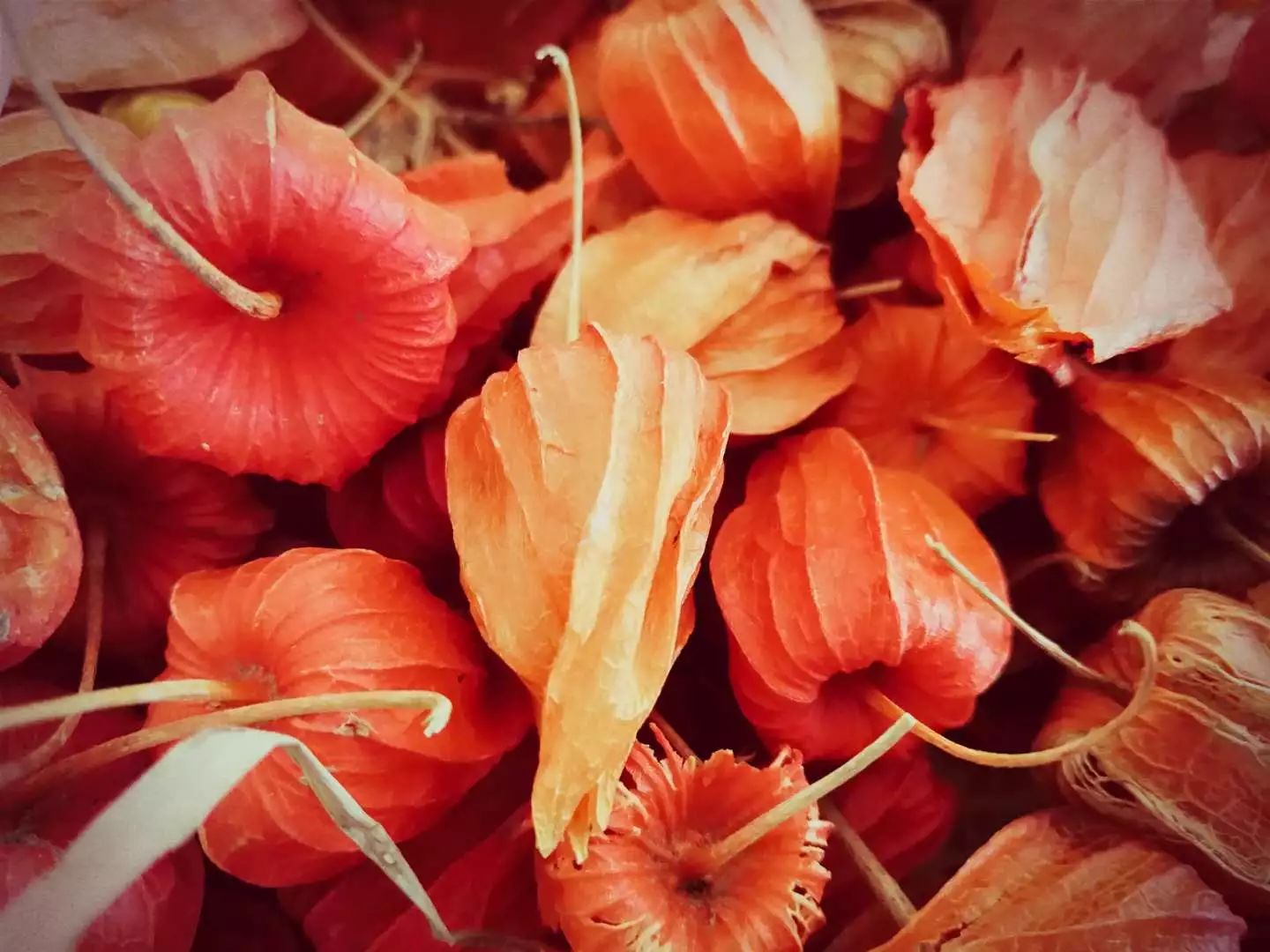 柳沟豆腐宴几个人最划算,柳沟豆腐宴几号最好吃