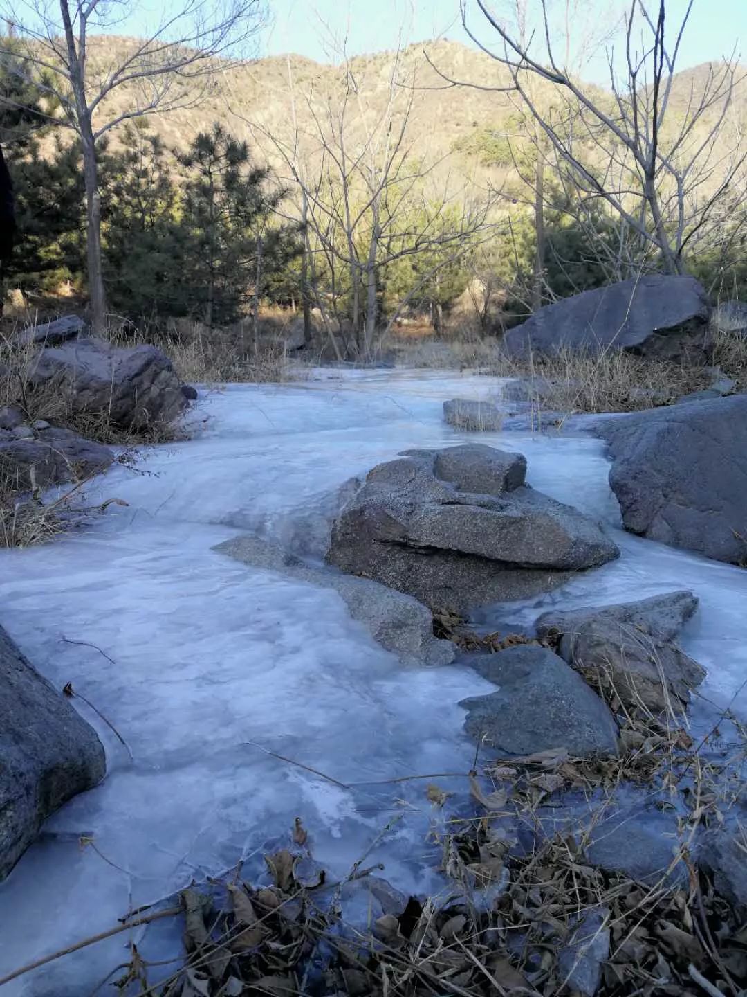 柳沟豆腐宴几个人最划算,柳沟豆腐宴几号最好吃