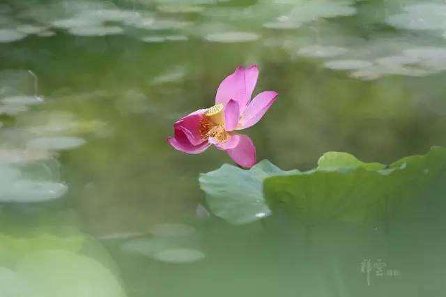 原来这才是教育的真正意义,南师教育学