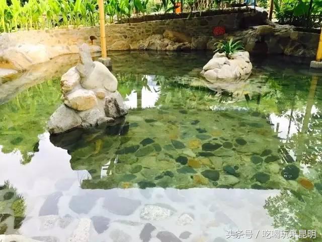 这两天德宏拽伤了，和全世界对话都是：我20度！