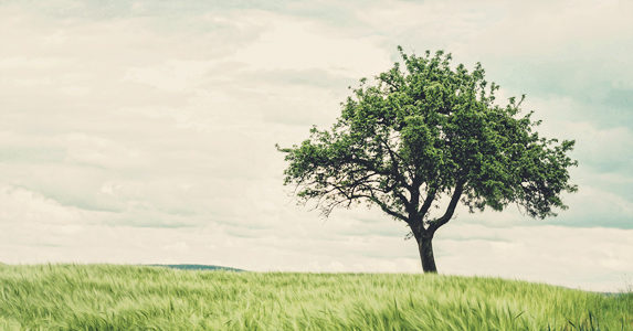 给校草递情书校草下课就来找我,女生让我帮她递情书