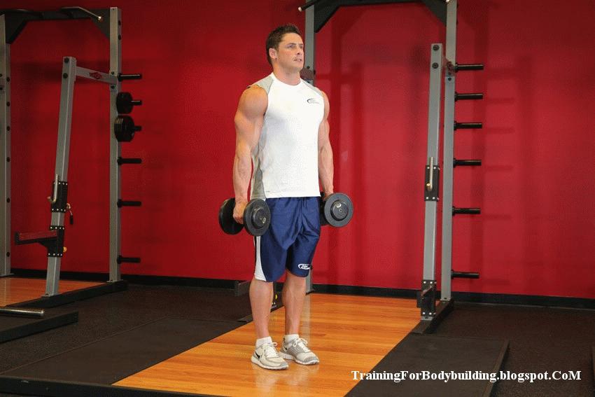 中年人健身房一周训练计划,健身房一周训练计划app