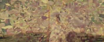 杨玉环张榕容,张榕容版杨玉环