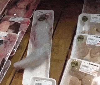 心跳加速睡不着了,心跳加速睡不着呕吐