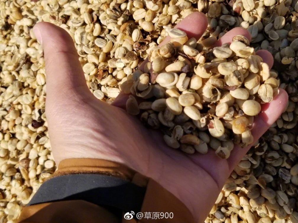 去云南适合买什么茶,云南最有名的咖啡在哪里