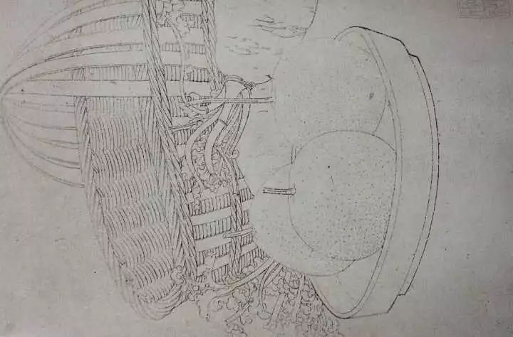 白描花卉技法基础入门,白描花卉简单入门