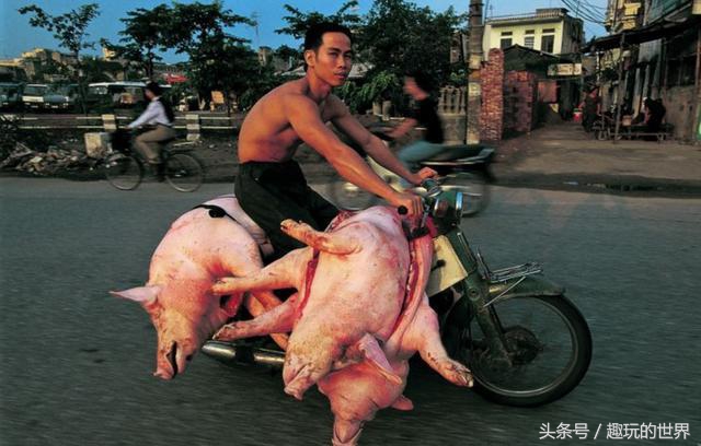 心跳加速睡不着了,心跳加速睡不着呕吐