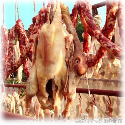 央视点评寿县咸鹅,寿县咸鹅味道怎么样