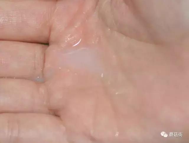 十大良心护肤水排行榜,十大公认最好的护肤水