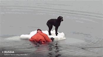 心跳加速睡不着了,心跳加速睡不着呕吐