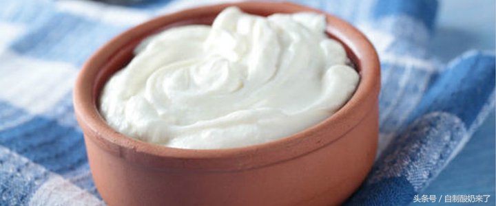 自制酸奶可以用酸奶做引子吗,自制酸奶怎么样做才好吃