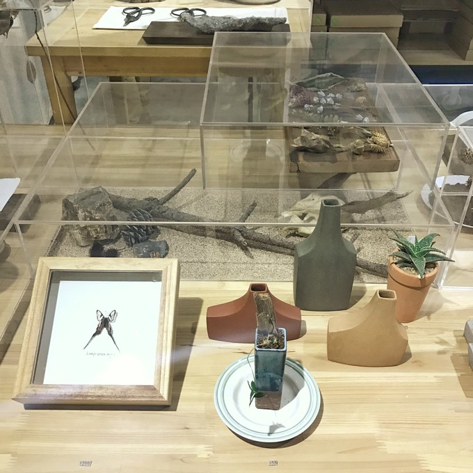 游记成都市内2日行,成都三日吃住行详细攻略