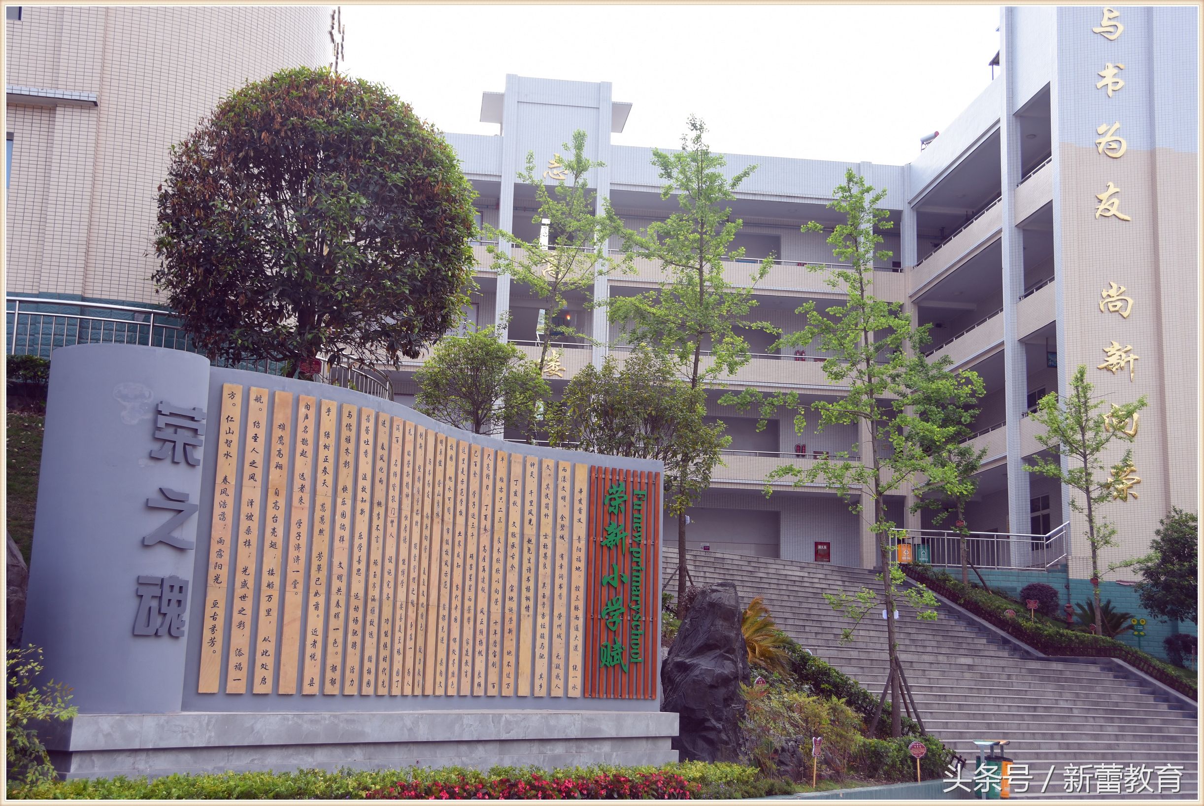 写身边环境的作文,写身边的环境50字