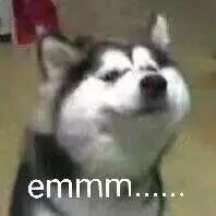 上海宁看过来！2018年这些东西全部实行免费！