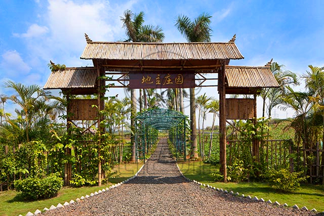 澄迈富力红树湾康养基地,澄迈富力红树湾在哪个镇