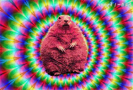 睫毛对妆容的重要性,睫毛对人的影响