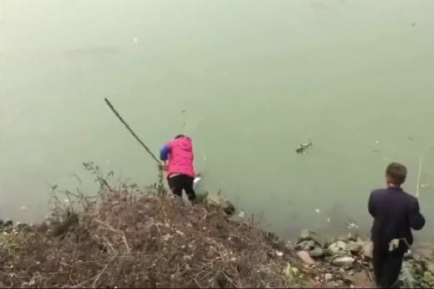 上游放鱼苗下游捞鱼苗,配合默契的团战