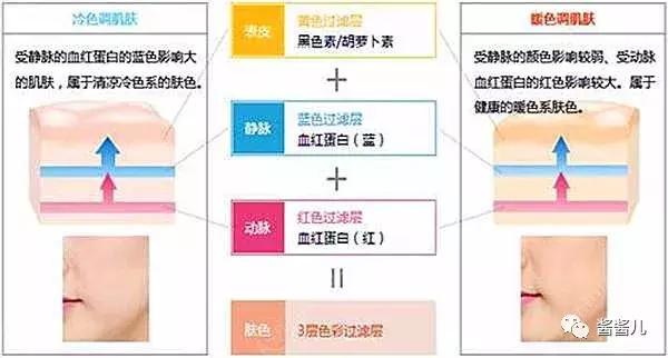 bb气垫霜粉,粉霜和粉底液和粉膏哪个好用