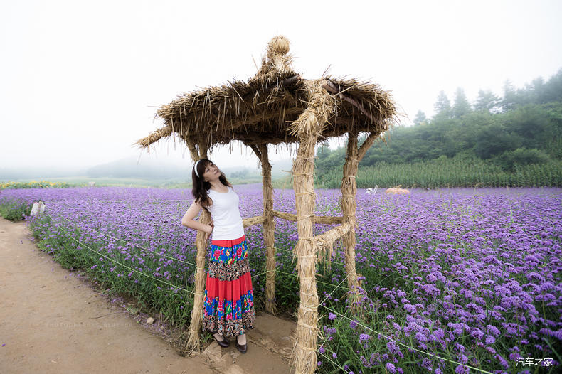 家乡之美美篇,家乡之美原唱完整版